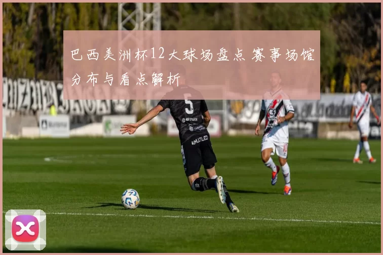 巴西美洲杯12大球场盘点 赛事场馆分布与看点解析