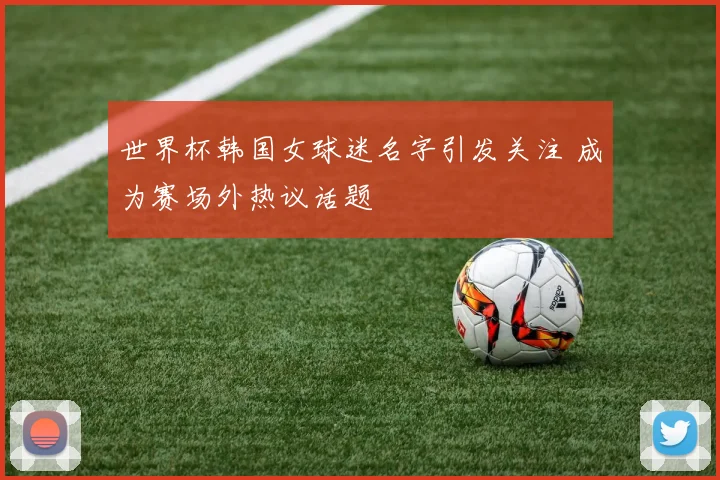 世界杯韩国女球迷名字引发关注 成为赛场外热议话题